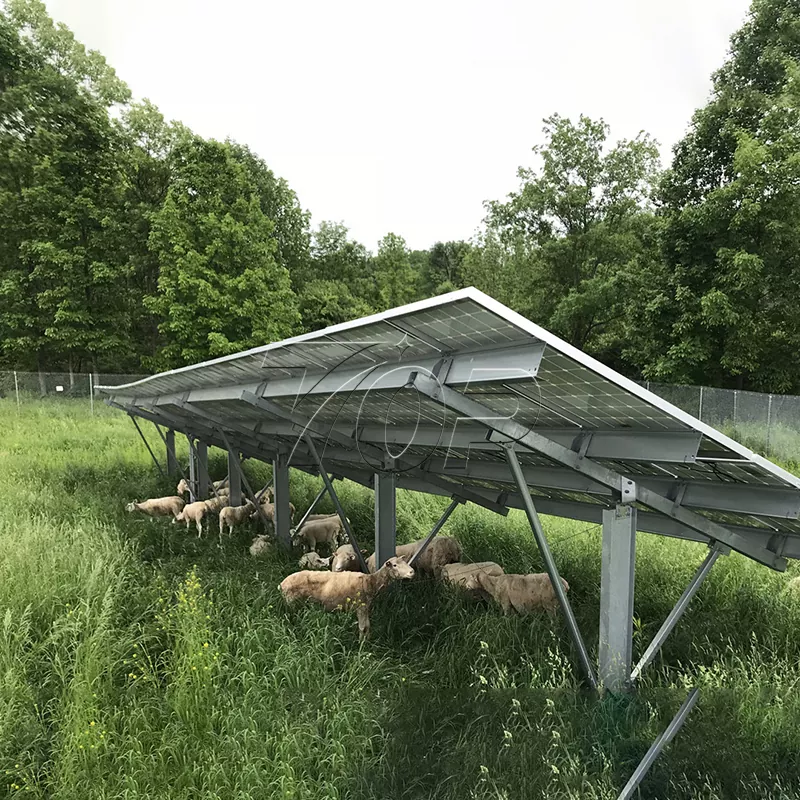 Painéis solares para fazendas: ajudando a sustentabilidade energética agrícola a um nível mais alto!